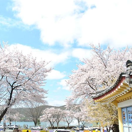 Corea Condo Kjongdžu Exteriér fotografie