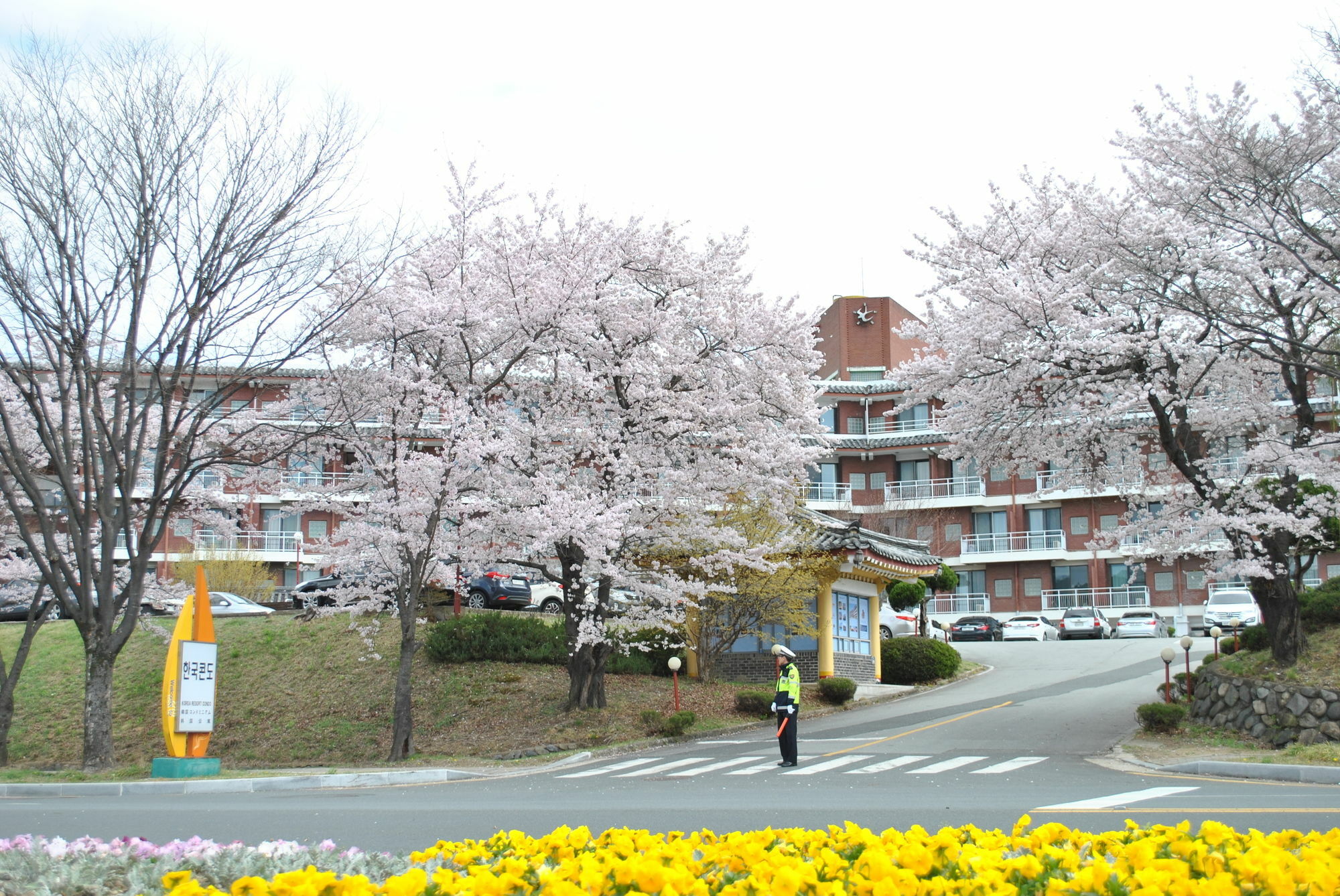 Corea Condo Kjongdžu Exteriér fotografie