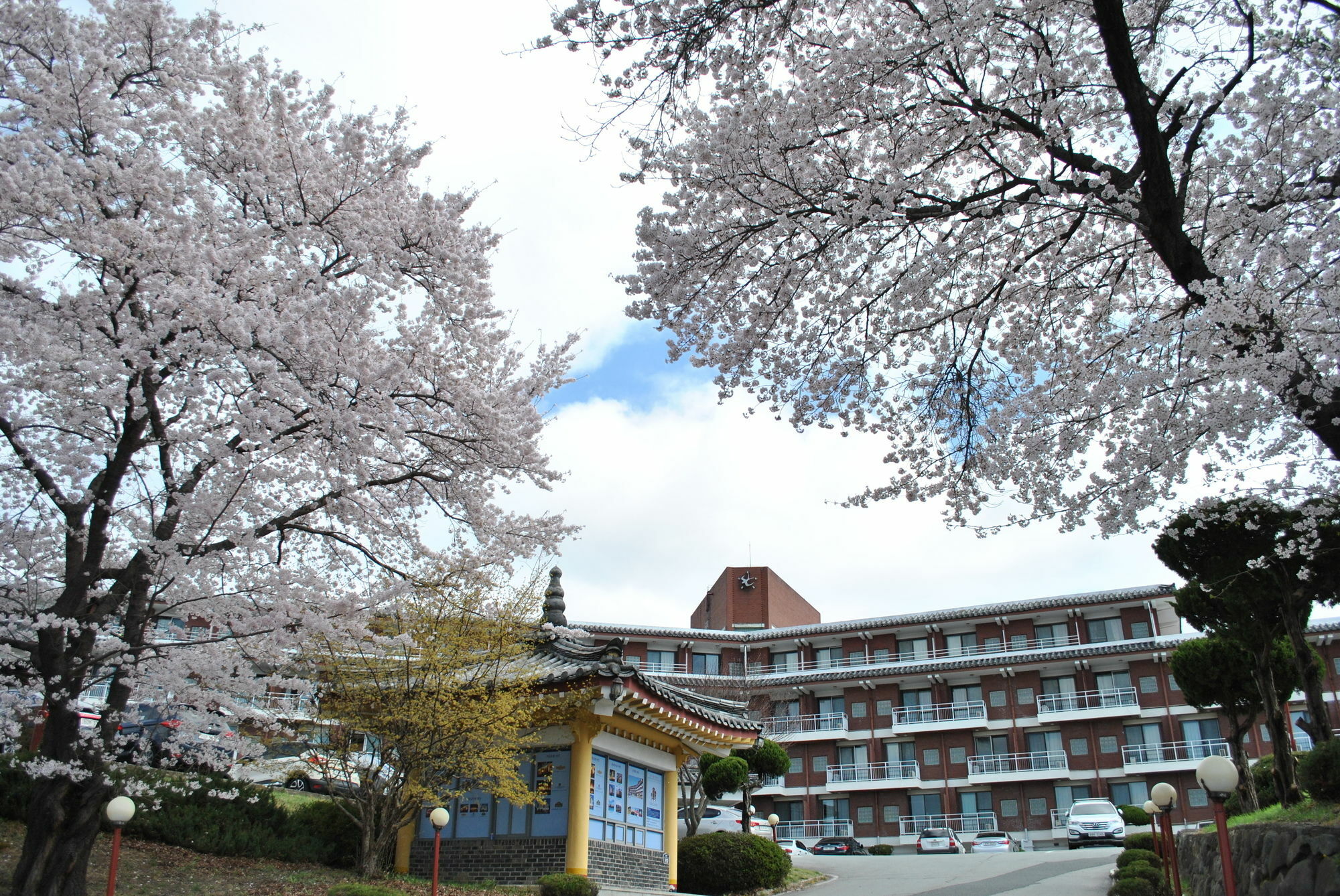 Corea Condo Kjongdžu Exteriér fotografie